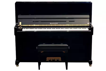 پیانو آکوستیک هایلون HU125